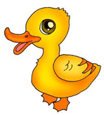 ¸Ӣʻ-duck